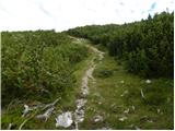 Planina Ravne - Jamarski bivak na Dleskovški planoti